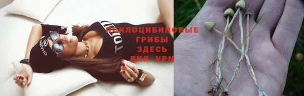 ешки Бугульма