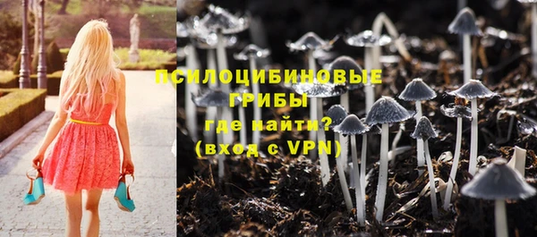ешки Бугульма