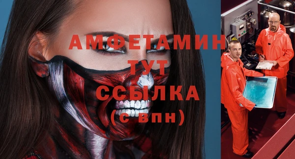 ПСИЛОЦИБИНОВЫЕ ГРИБЫ Бородино