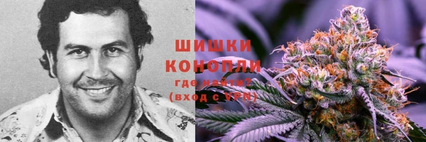 ПСИЛОЦИБИНОВЫЕ ГРИБЫ Бородино