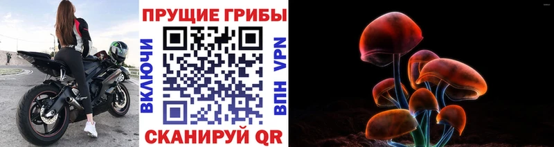 Купить где  Никольское  Галлюциногенные грибы MAGIC MUSHROOMS 